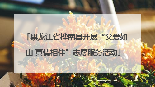 黑龙江省桦南县开展“父爱如山 真情相伴”志愿服务活动